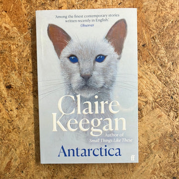 Antarctica | Claire Keegan