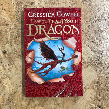 How To Train Your Dragon | Cressida Cowell