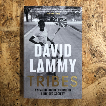 Tribes | David Lammy