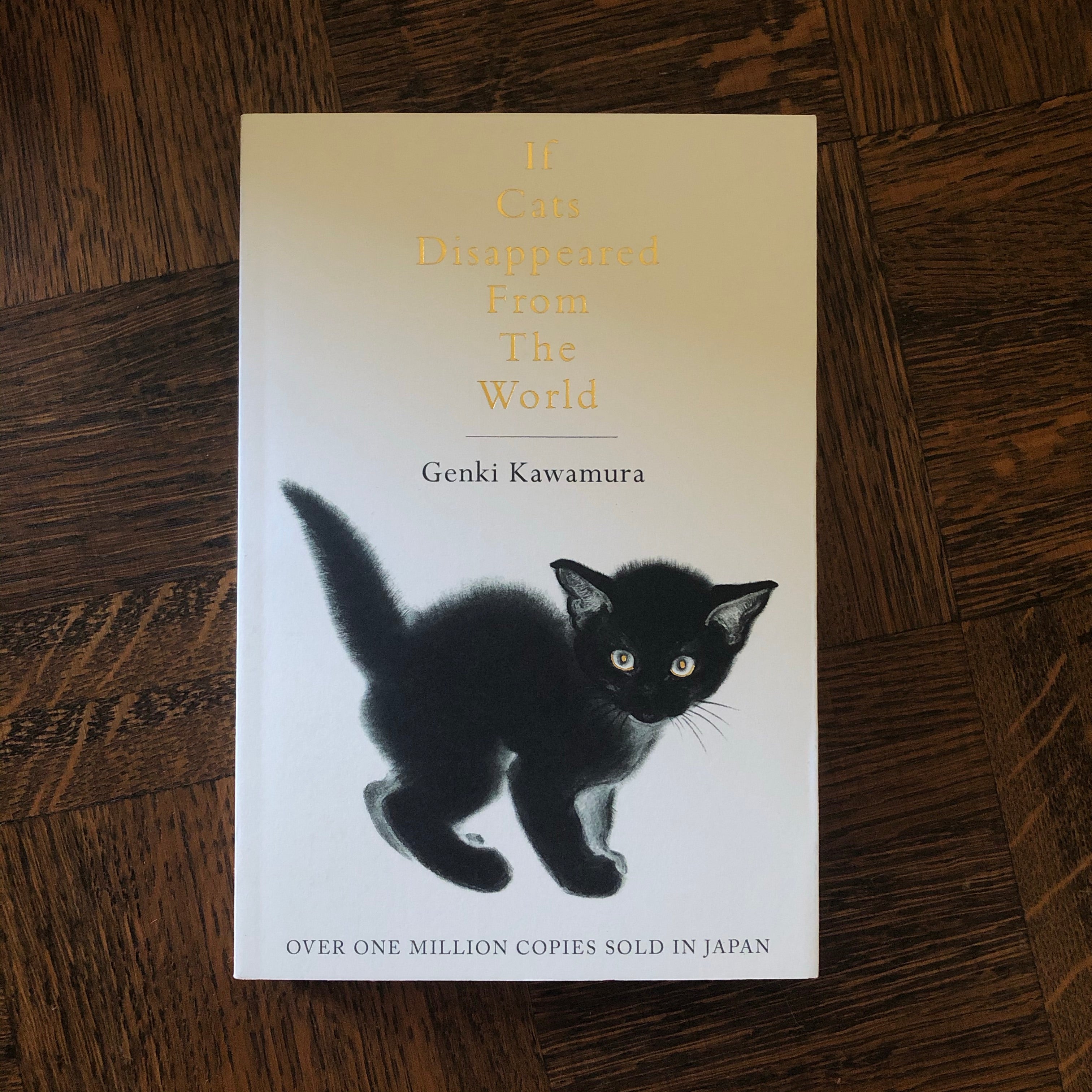 If Cats Disappeared From The World | Genki Kawamura – Pigeon