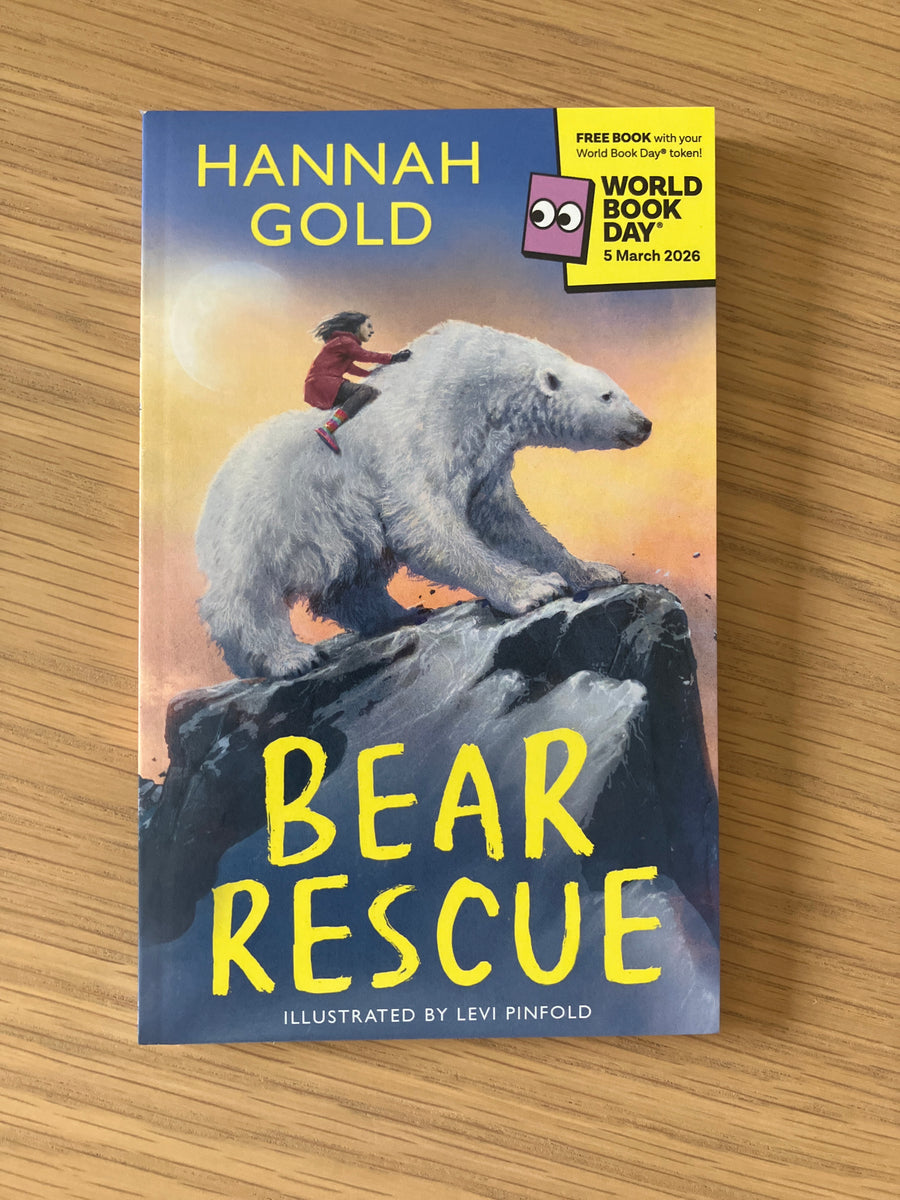 Bear Rescue | Hannah Gold – Pigeon Books