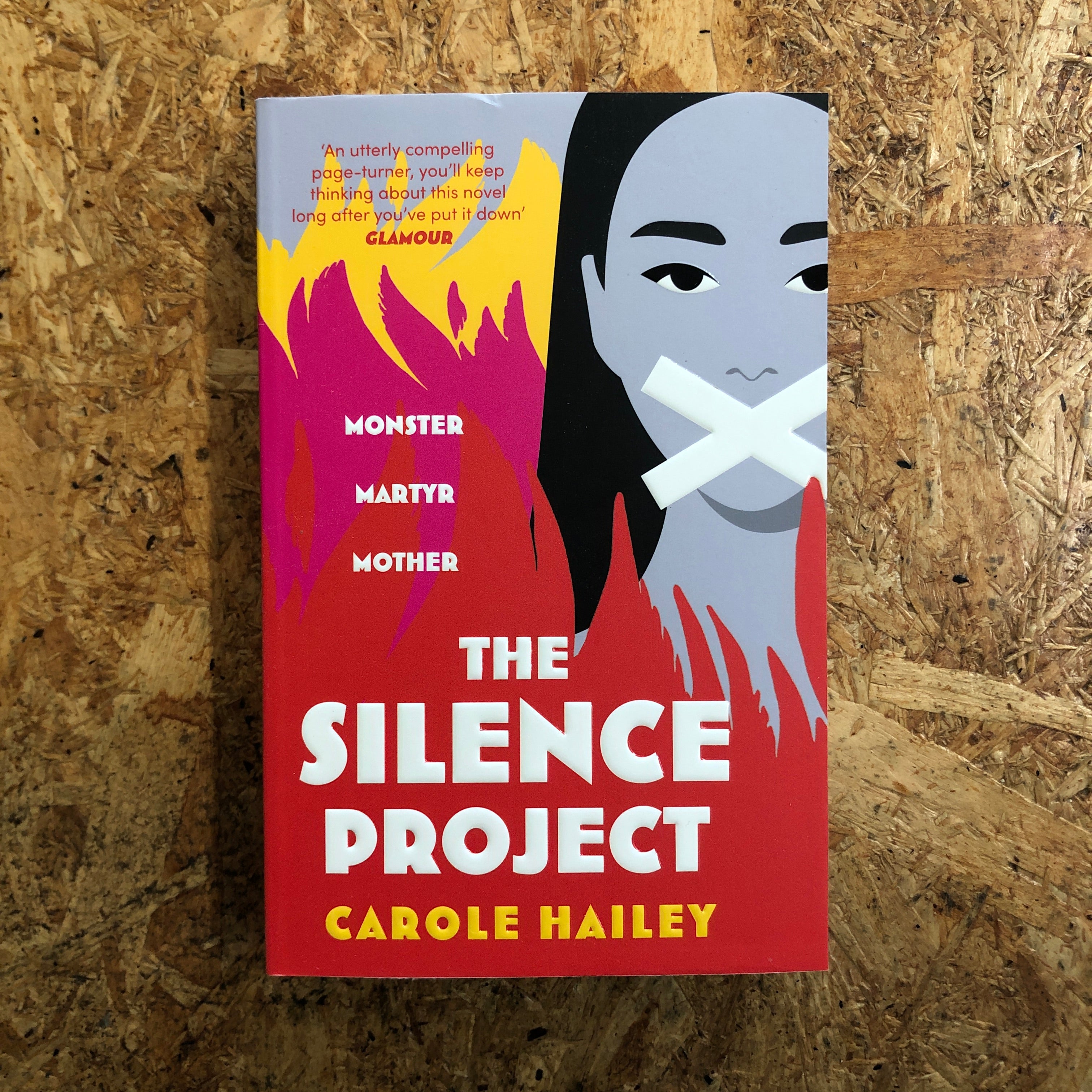 The Silence Project | Carole Hailey – Pigeon Books