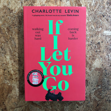 If I Let You Go | Charlotte Levin