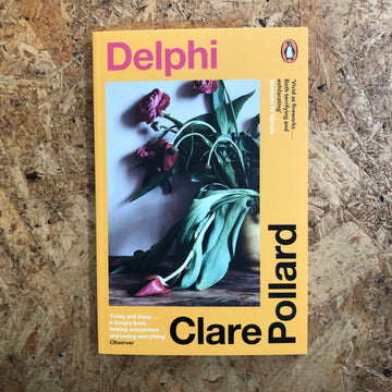 Delphi | Clare Pollard