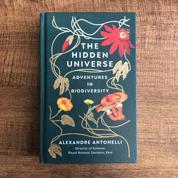 The Hidden Universe | Alexandre Antonelli
