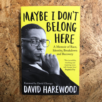 Maybe I Don’t Belong Here | David Harewood