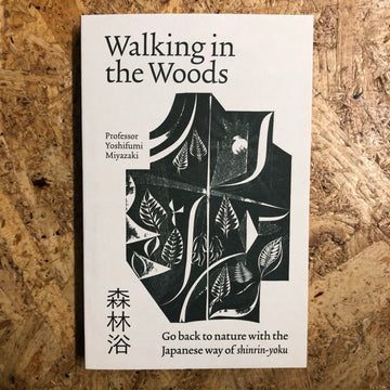 Walking In The Woods | Yoshifumi Miyazaki