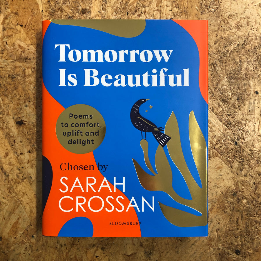 Tomorrow Is Beautiful | Sarah Crossan