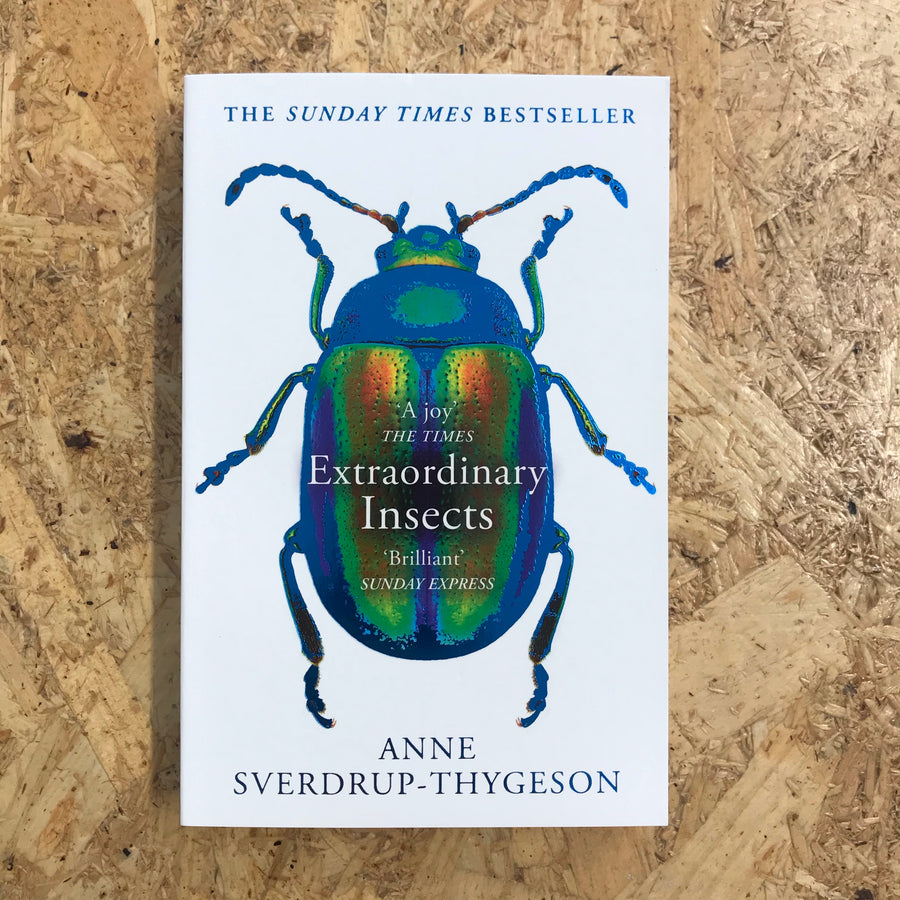 Extraordinary Insects | Anne Sverdrup-Thygeson