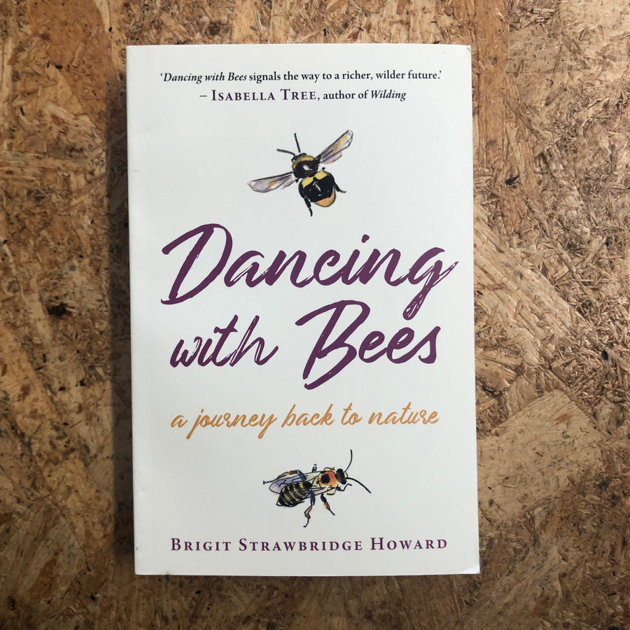 Dancing With Bees | Brigit Strawbridge Howard