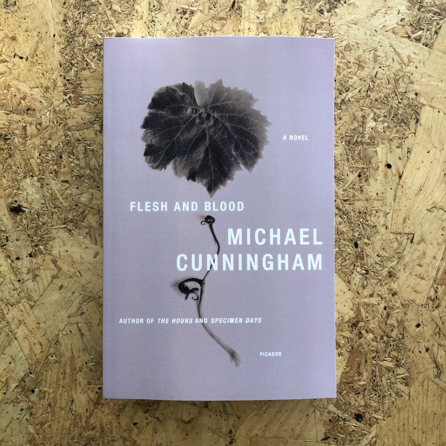 Flesh And Blood | Michael Cunningham