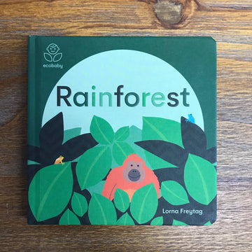 Rainforest | Lorna Freytag