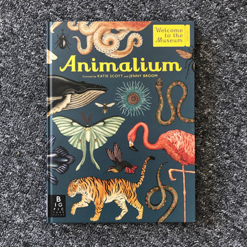 Animalium | Katie Scott & Jenny Broom