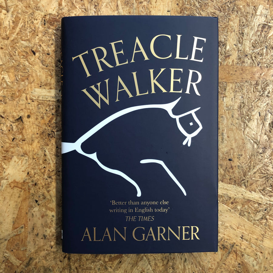 Treacle Walker | Alan Garner