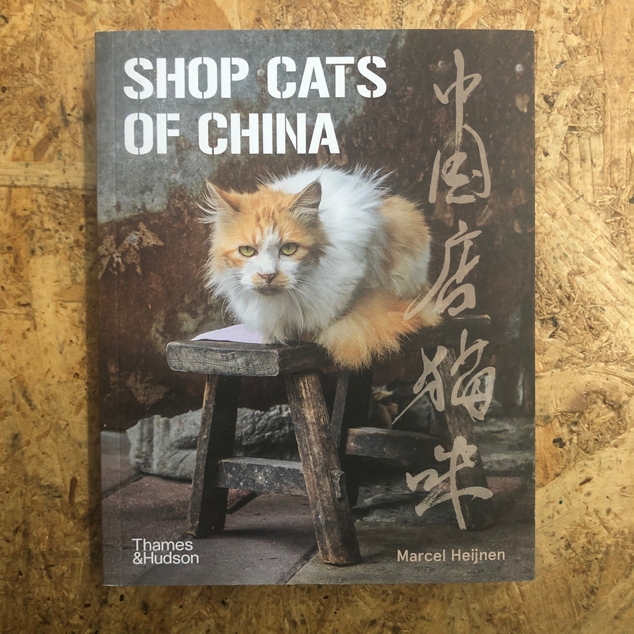 Shop Cats Of China | Marcel Heijnen