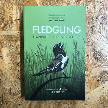 Fledgling | Hannah Bourne-Taylor