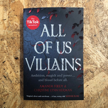 All Of Us Villains | Amanda Foody & Christine Lynn Herman