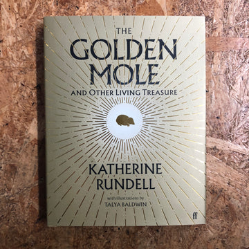 The Golden Mole | Katherine Rundell