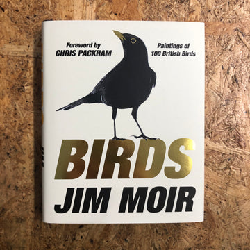 Birds | Jim Moir