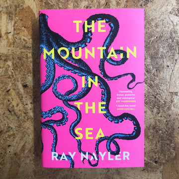 The Mountain In The Sea | Ray Nayler