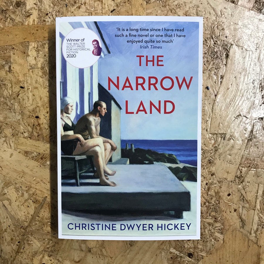 The Narrow Land | Christine Dwyer Hickey