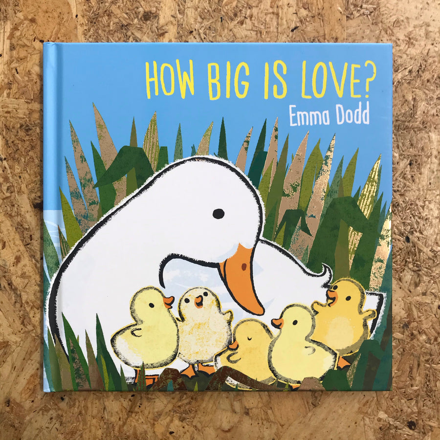 How Big Is Love? | Emma Dodd