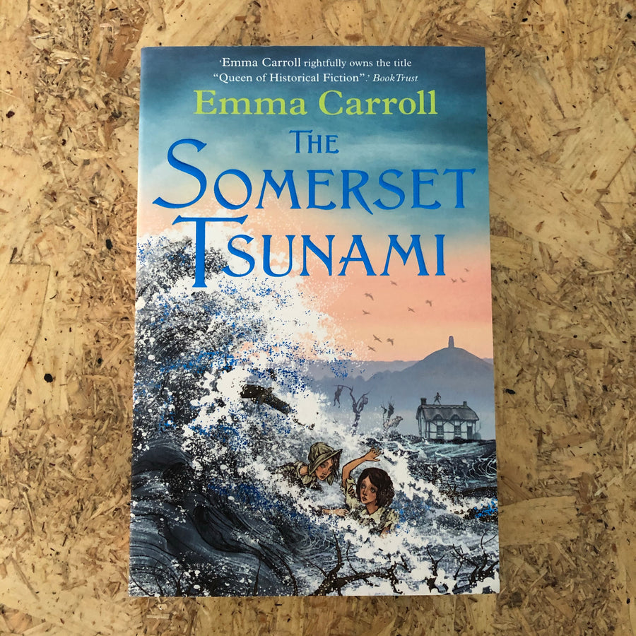 The Somerset Tsunami | Emma Carroll