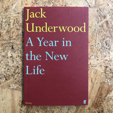 A Year In The New Life | Jack Underwood