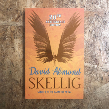 Skellig | David Almond