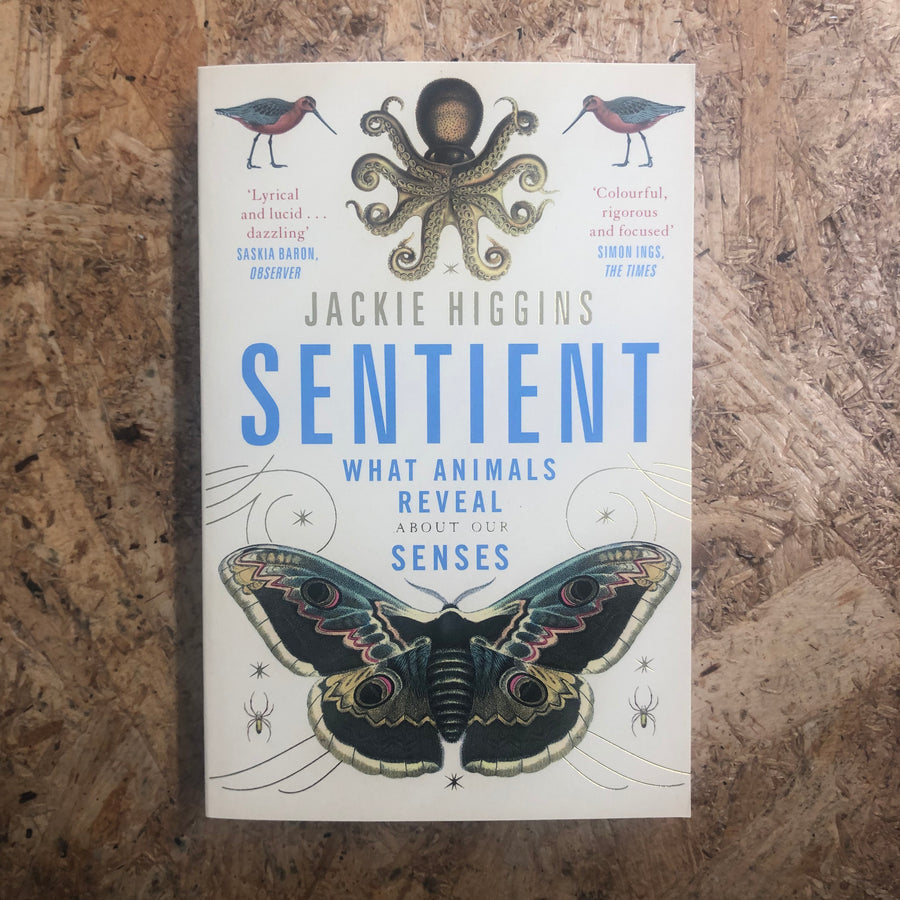 Sentient | Jackie Higgins