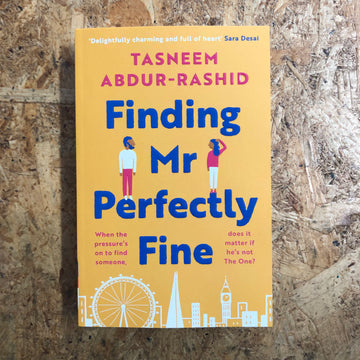 Finding Mr. Perfectly Fine | Tasneem Abdur-Rashid