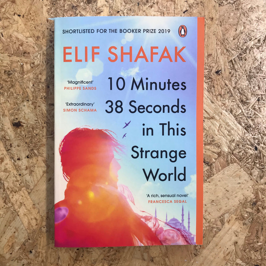 10 Minutes 38 Seconds in this Strange World | Elif Shafak