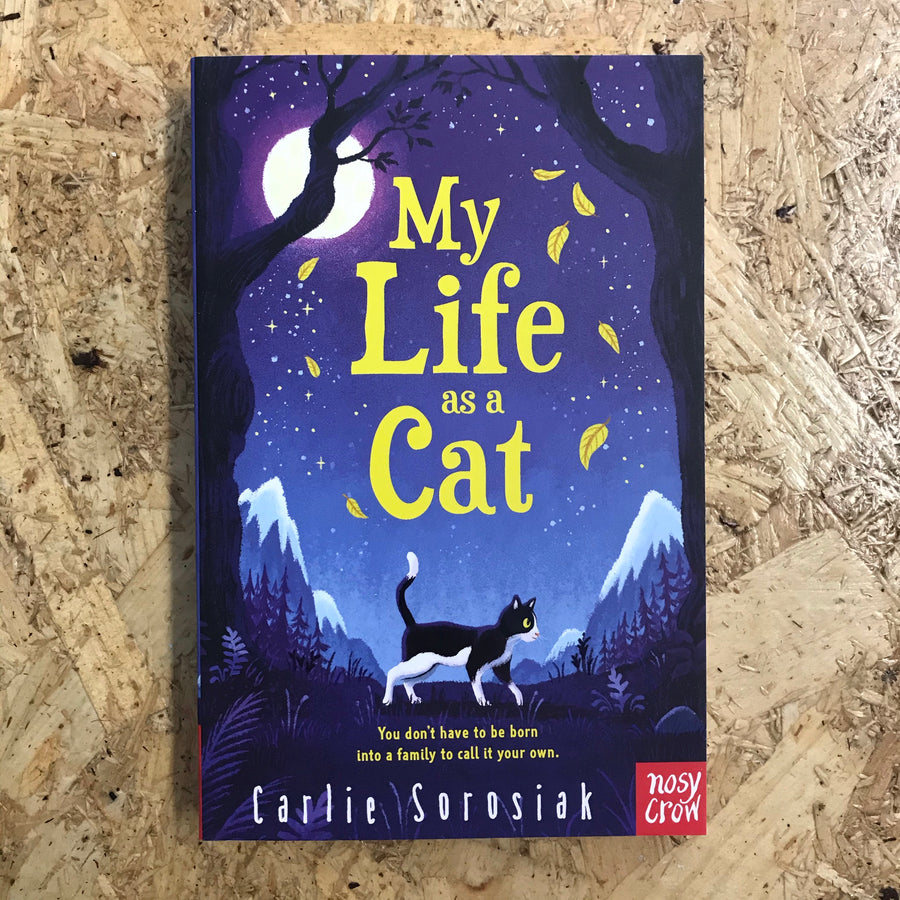 My Life As A Cat | Carlie Sorosiak