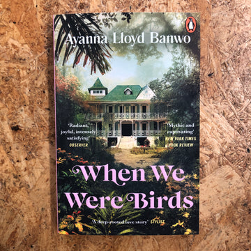 When We Were Birds | Ayanna Lloyd Banwo