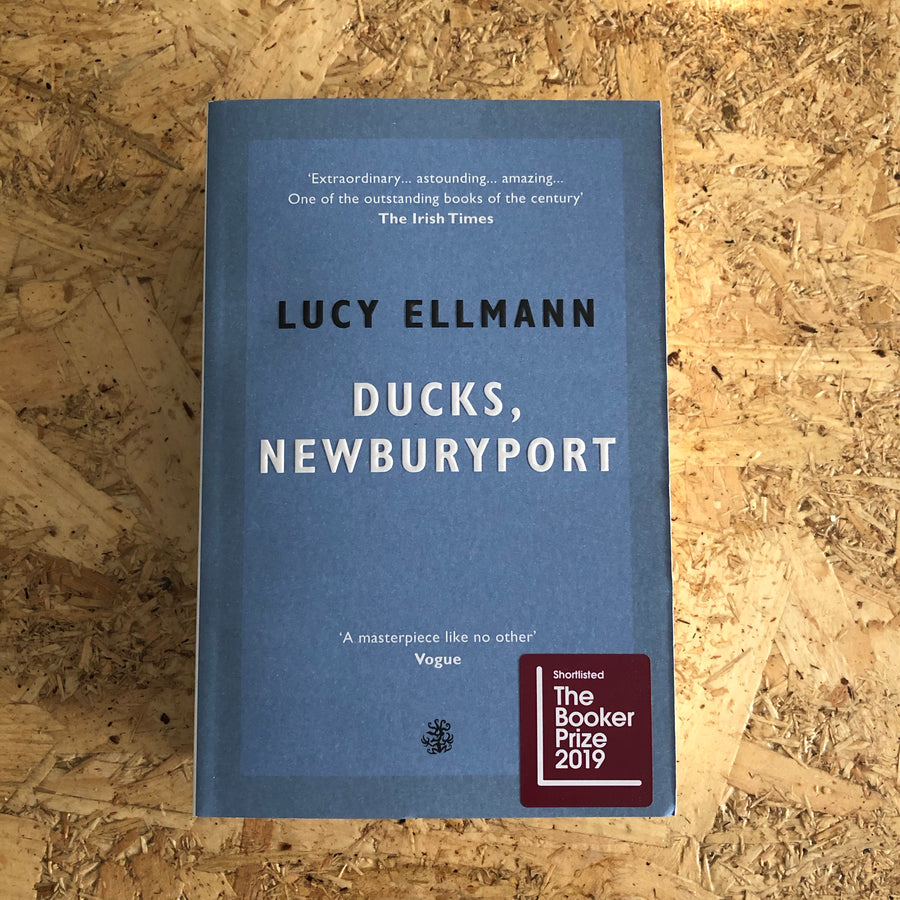 Ducks, Newburyport | Lucy Ellmann