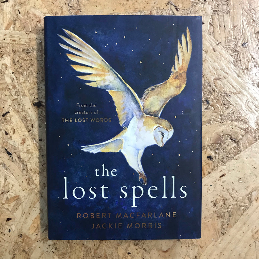 The Lost Spells | Robert MacFarlane & Jackie Morris