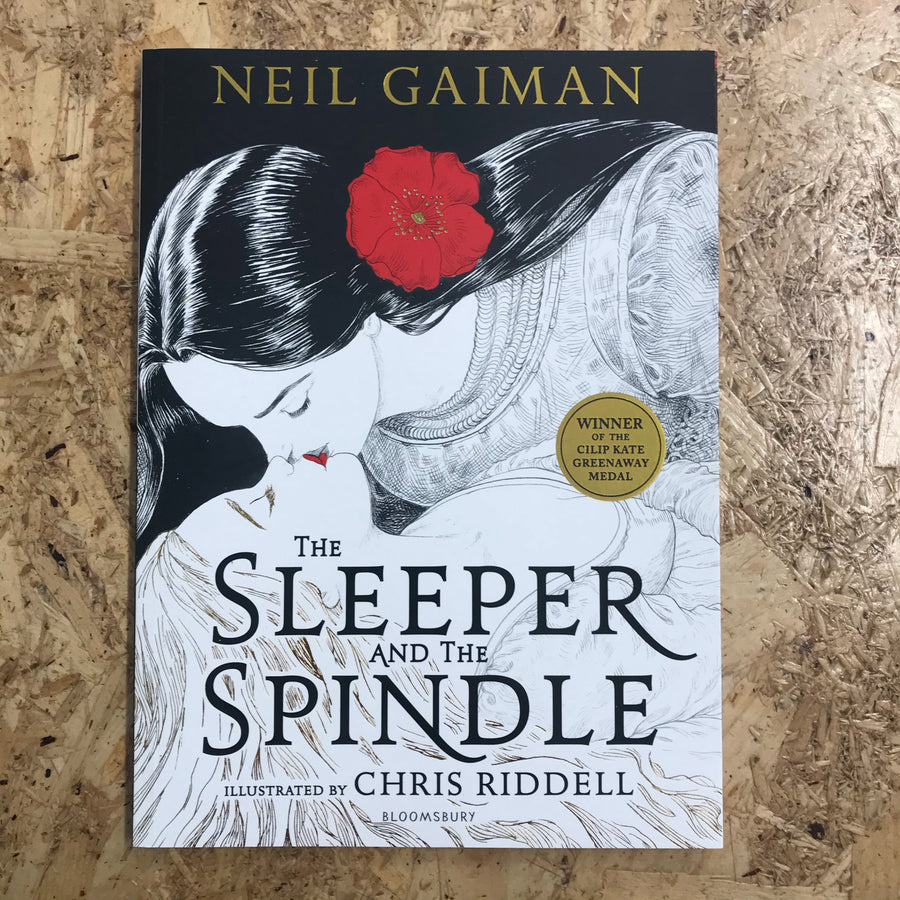 The Sleeper And The Spindle | Neil Gaiman